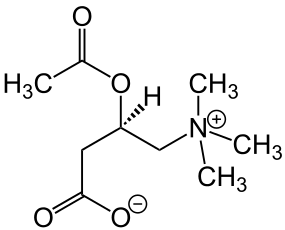 vendita l-carnitina iniettabile