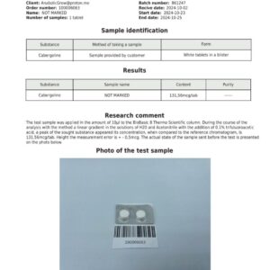 100006063
