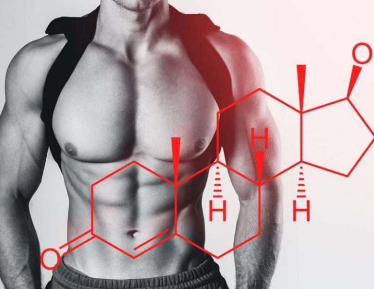 Bodybuilding and Hormones: Are Steroids the Same as Testosterone, or Are There Important Differences?